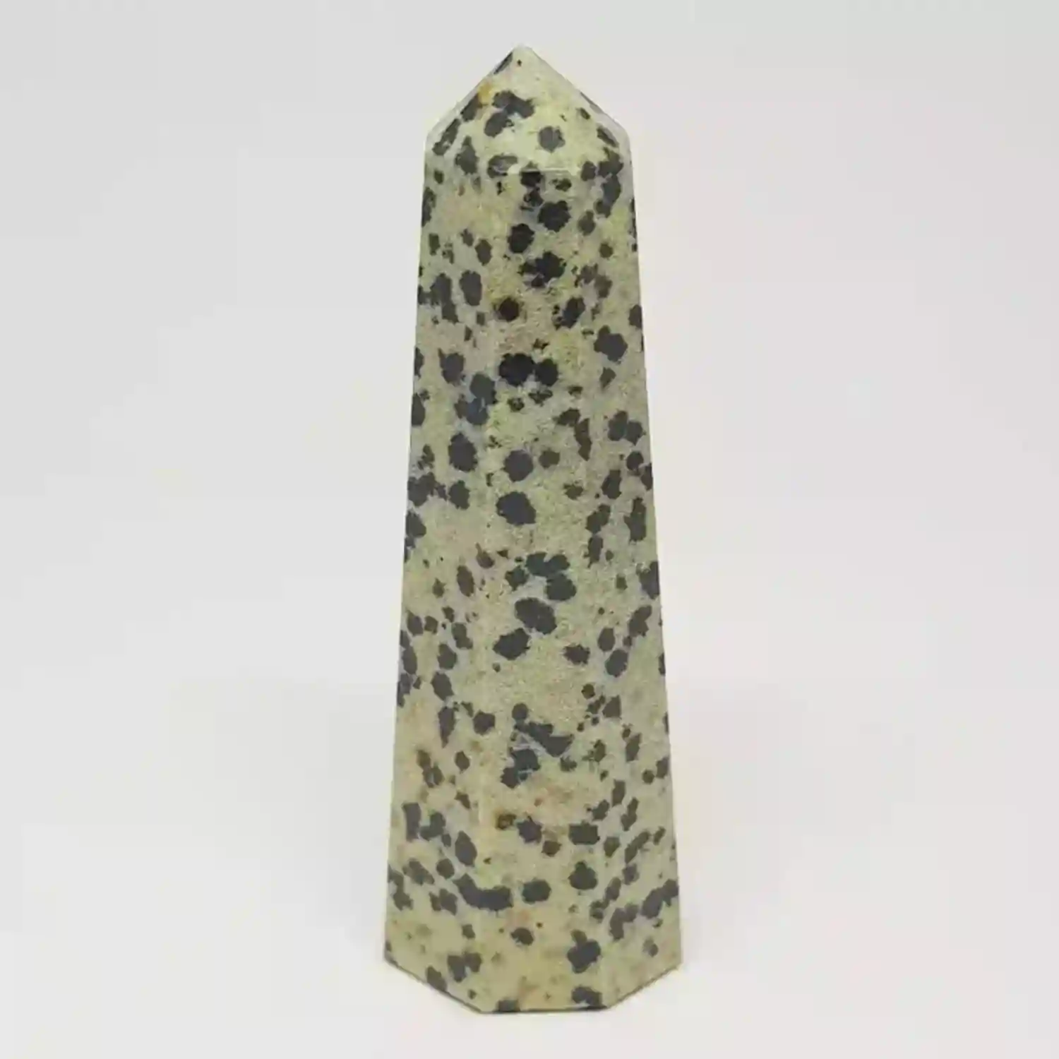 Dalmatian Pencil Tower Point