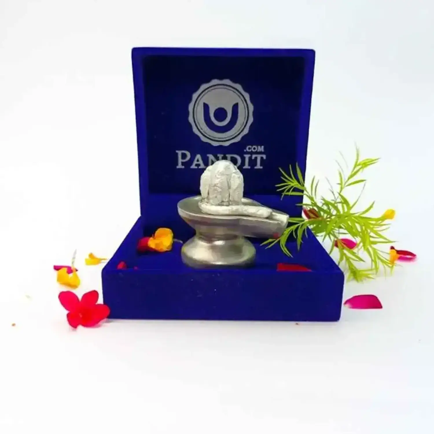Panchmukhi Parad Shivling - Panchmukhi Mercury Shivling