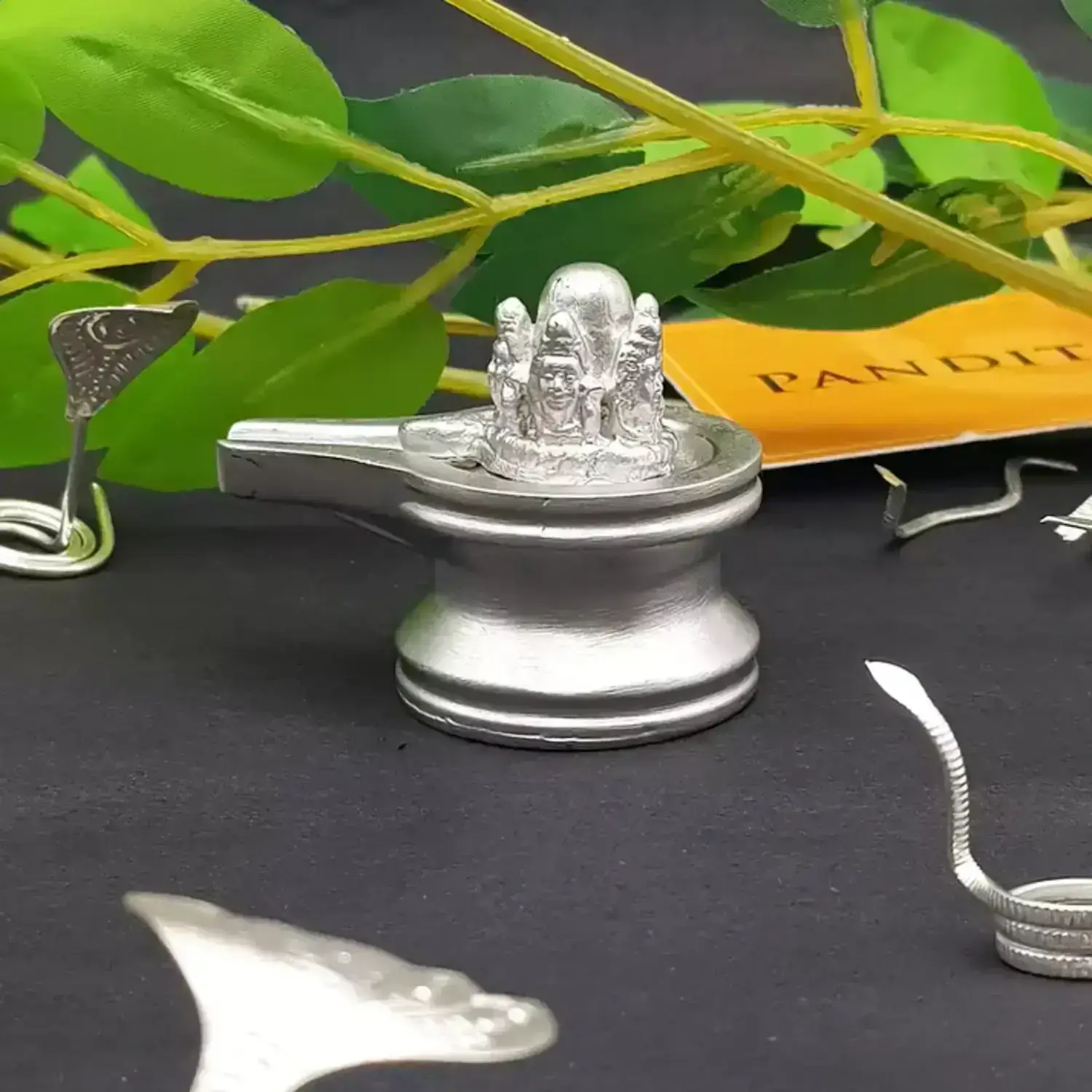 Panchmukhi Parad Shivling - Panchmukhi Mercury Shivling