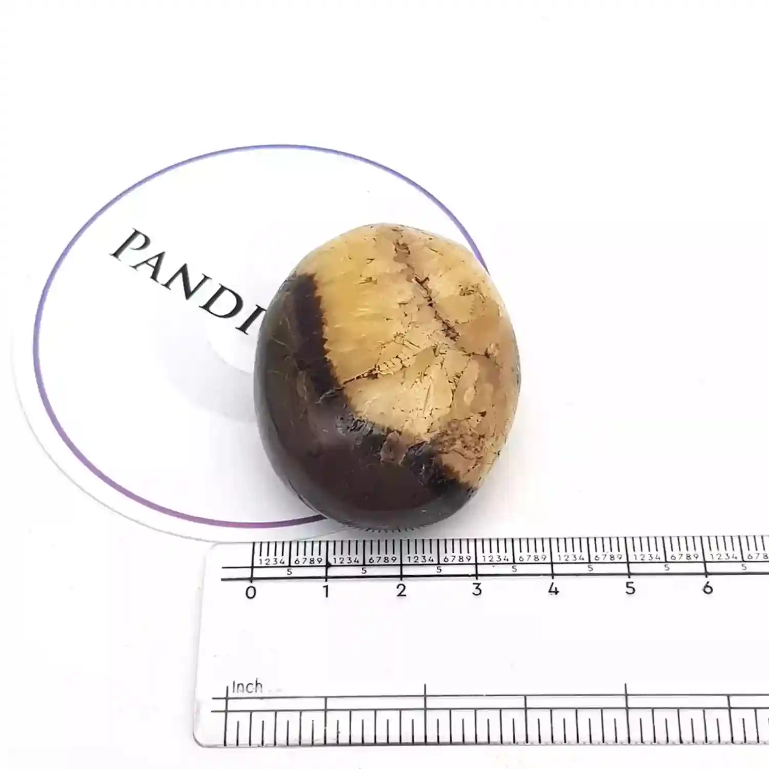 Spotted Jasper Healing Crystal Palm Stone