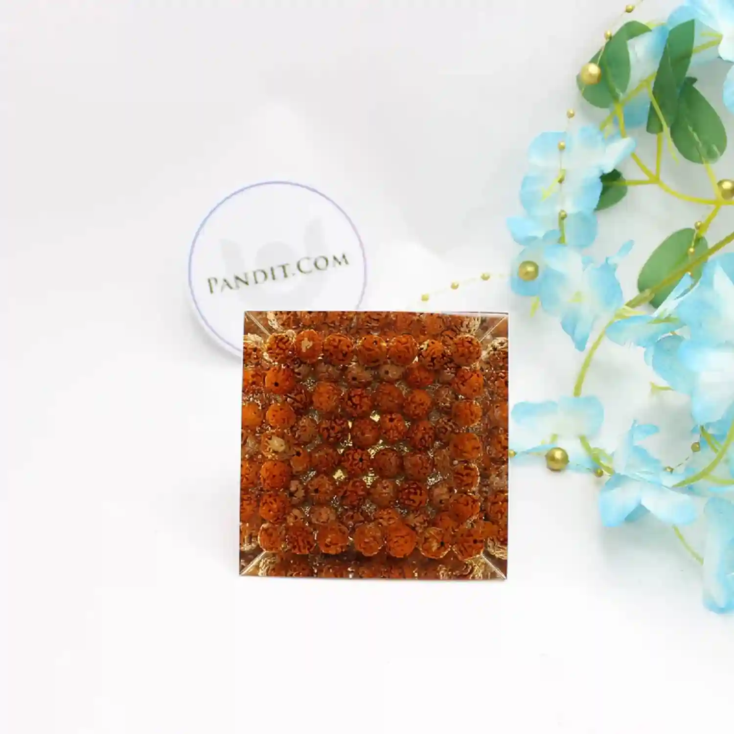Kaal Sarp Yog Pyramid Yantra with 5 Mukhi Rudraksha Beads