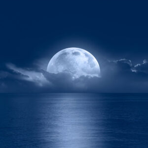 Premium Astrology Report