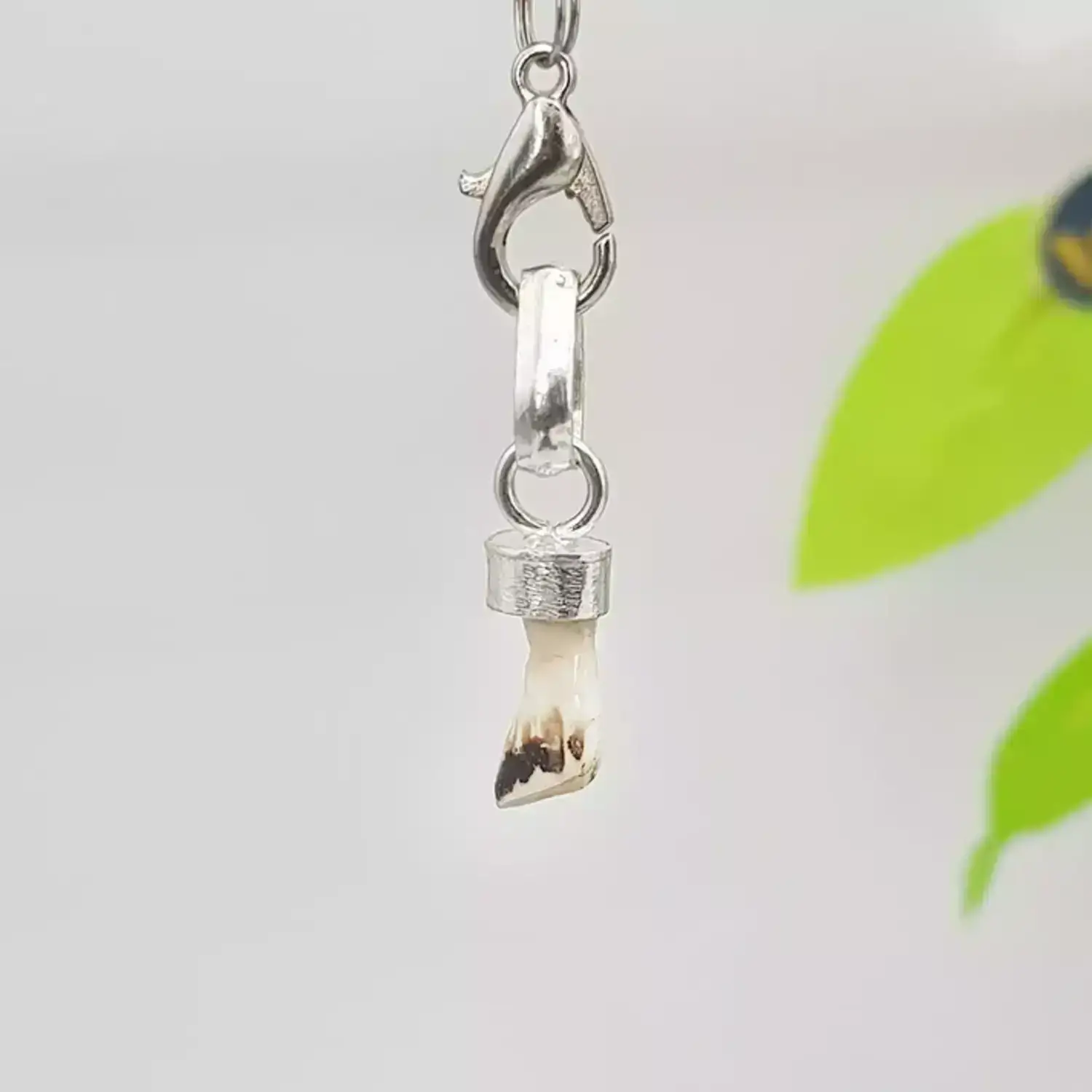 Natural Ketu Mukta Mani