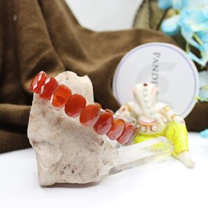 Carnelian Oval Faceted Bracelet - To Boost Energy & Clear Debts