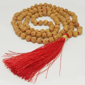 Chikna Rudraksha Mala