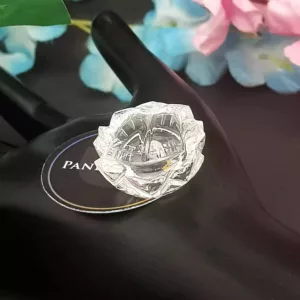 Crystal Sphatik Shri Lakshmi Charan Paduka