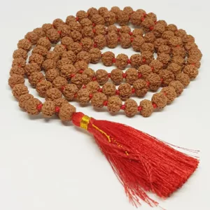 Pathri Rudraksha Mala - To Make Mantra chanting Fruitful