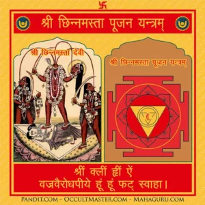 Shri Chinnamasta Pujan Yantra