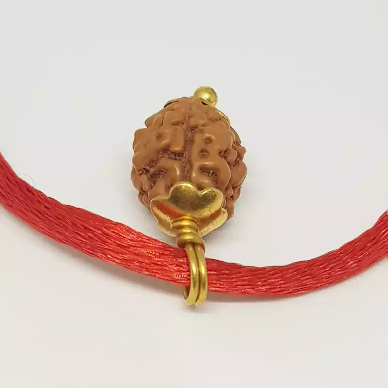 3 Mukhi Rudraksha - Indonesia