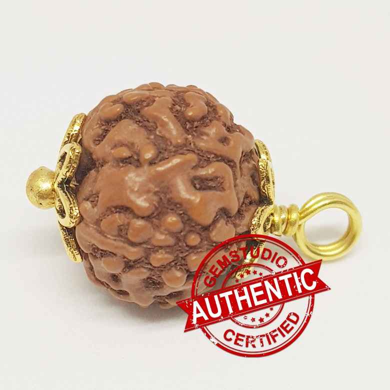 5 Mukhi Rudraksha – Indonesia