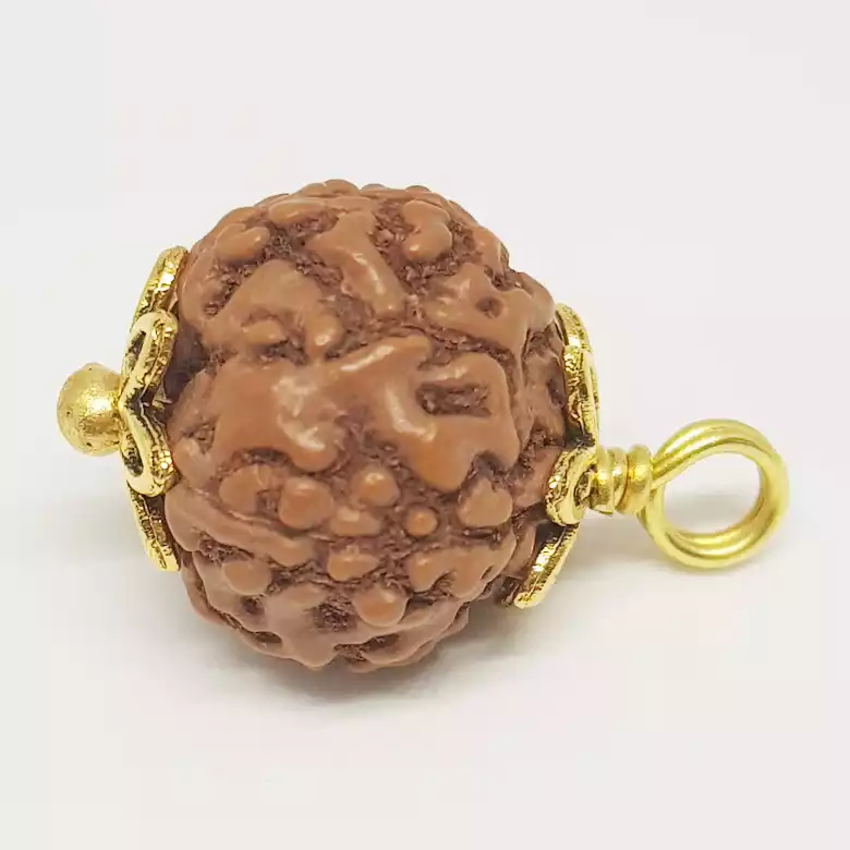 5 Mukhi Rudraksha - Indonesia