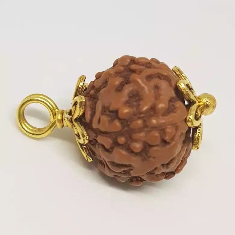 5 Mukhi Rudraksha - Indonesia