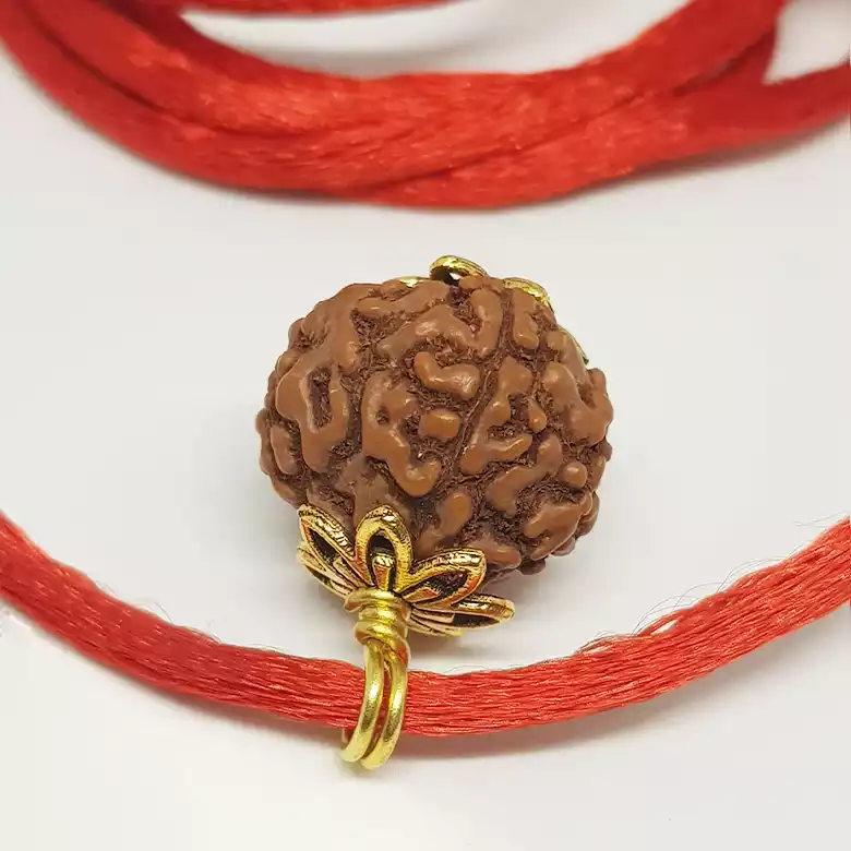 5 Mukhi Rudraksha - Indonesia