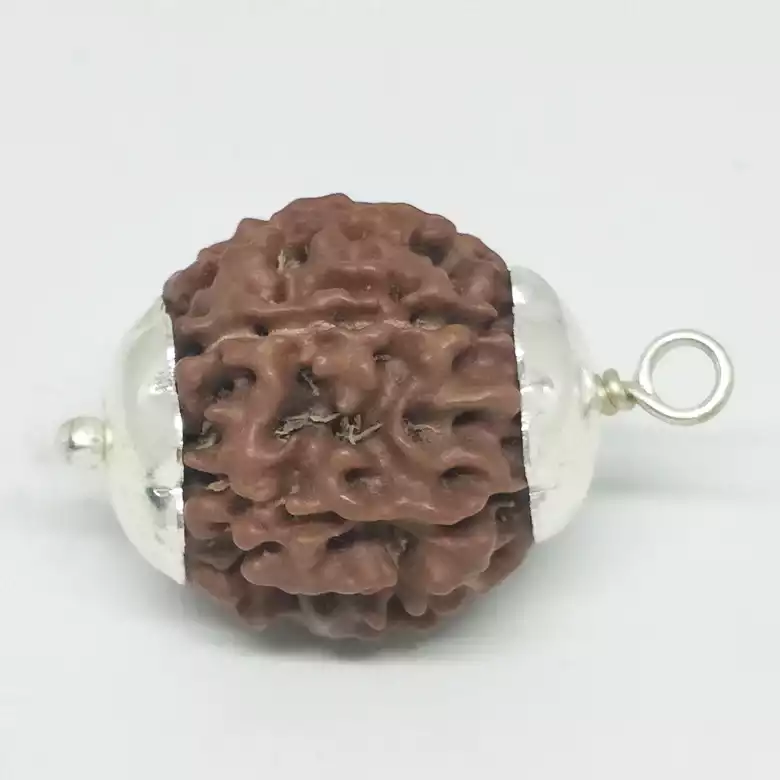 Six Mukhi Premium Rare Rudraksha
