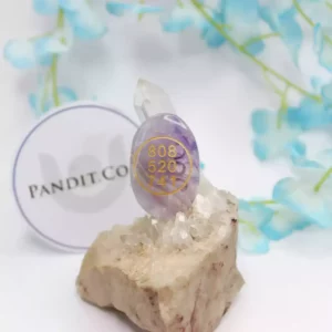 Amethyst Zibu Symbol Coin