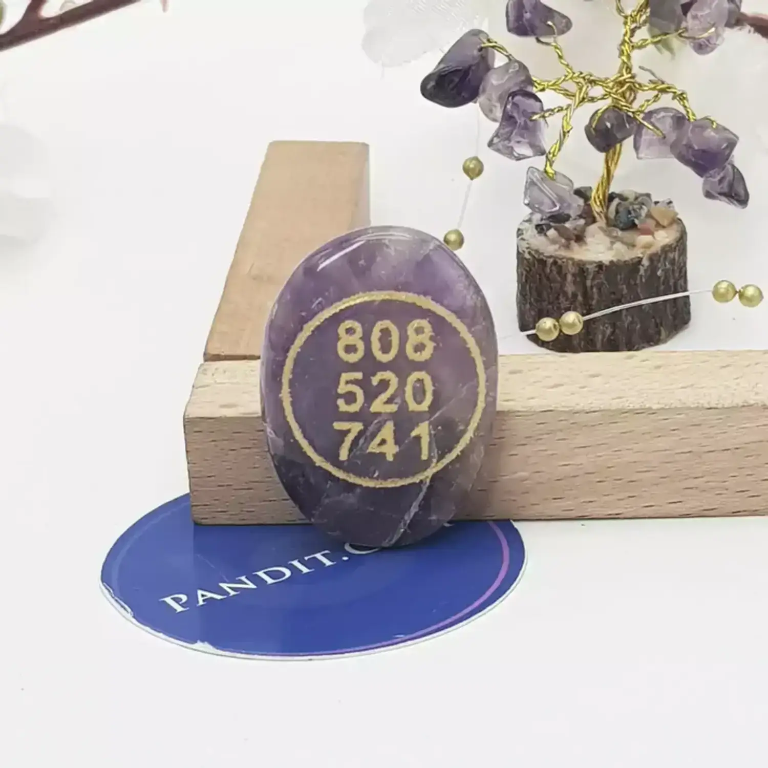 Amethyst Zibu Symbol Coin