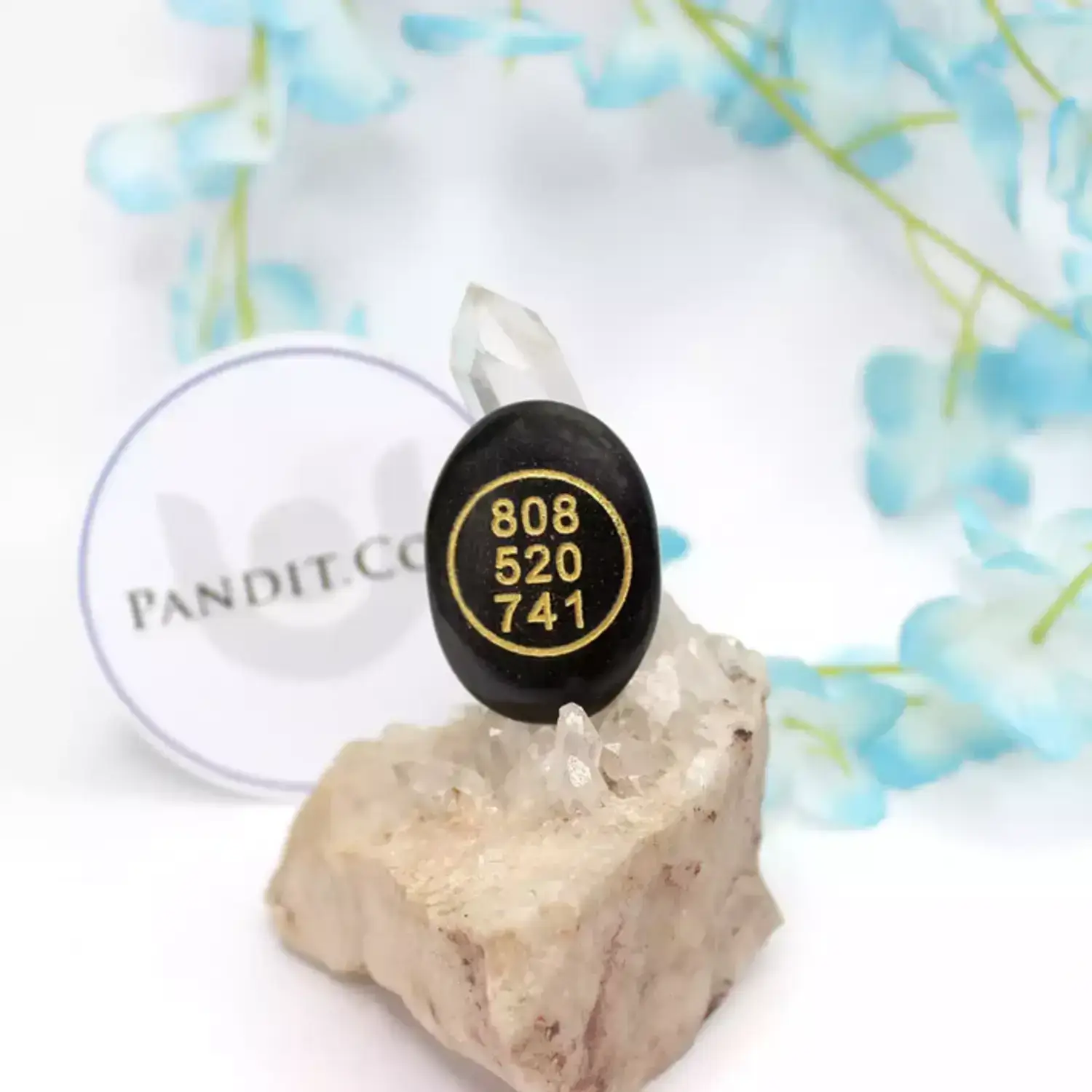 Black Agate Protection Coin