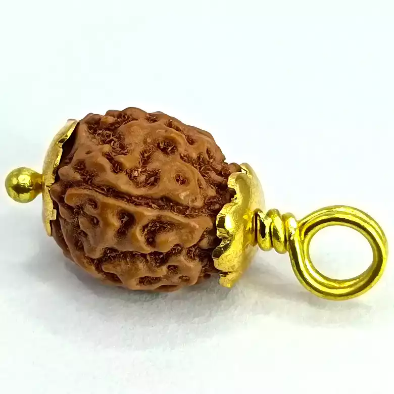 4 Mukhi Rudraksha – Indonesia