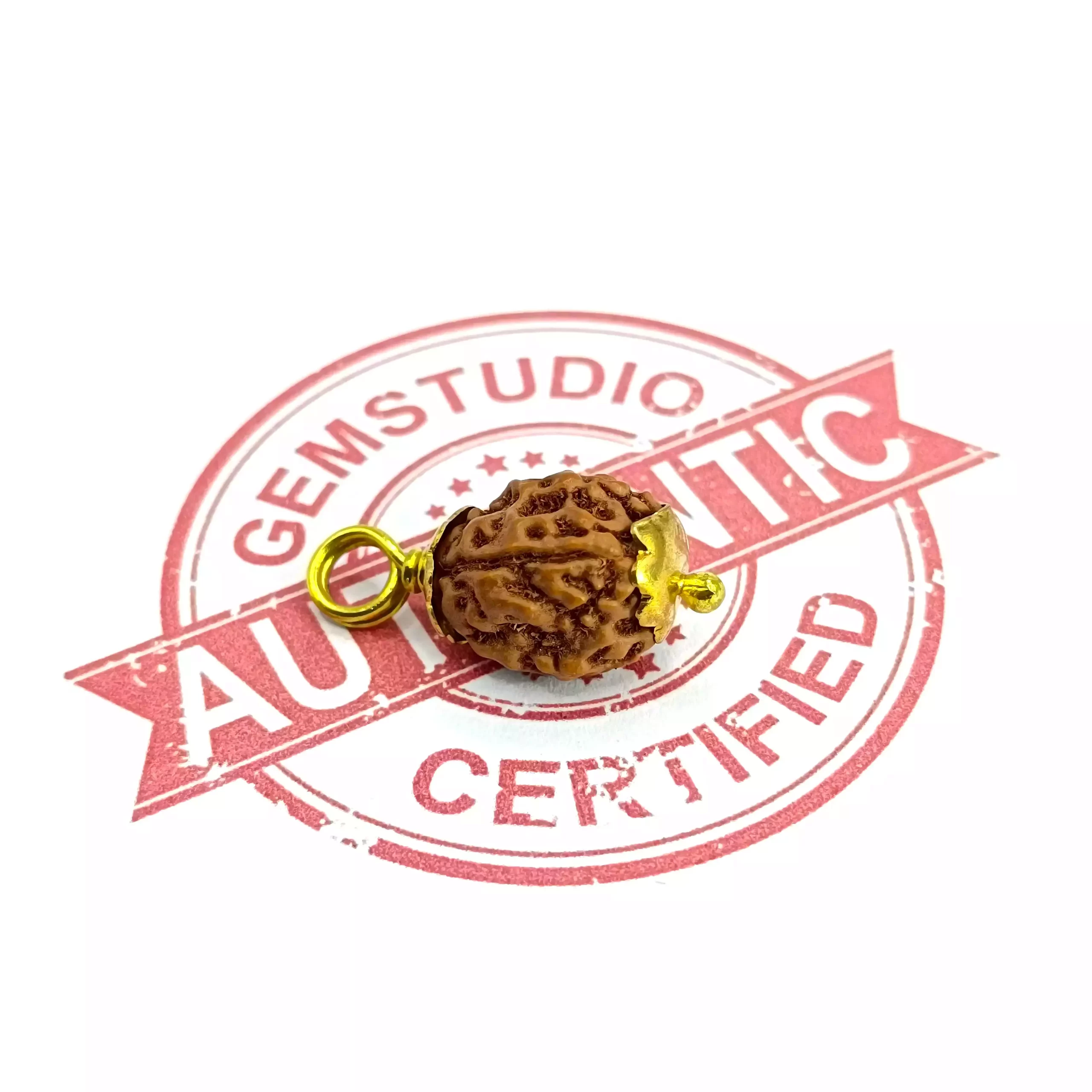 4 Mukhi Rudraksha – Indonesia