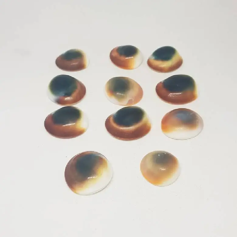 Gomti Chakra for Evil Eye