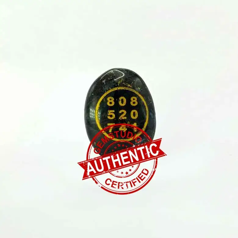 Larvikite Zibu Symbol Coin
