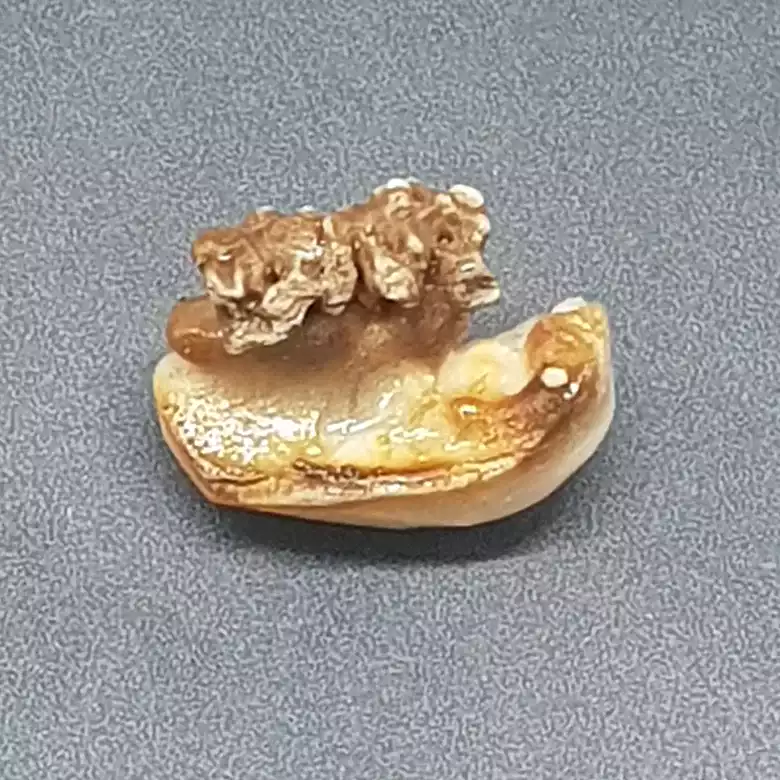 Natural Chandra Mani