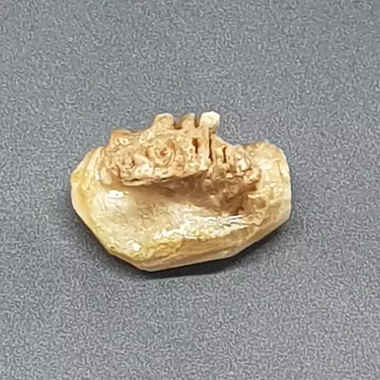 Natural Chandra Mani