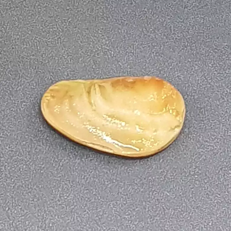 Natural Shukra Mani