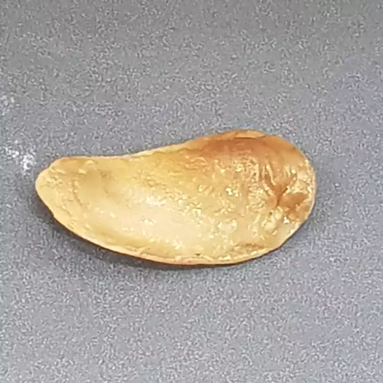 Natural Shukra Mani