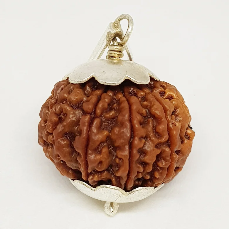 Nine Mukhi Premium Rare Rudraksha