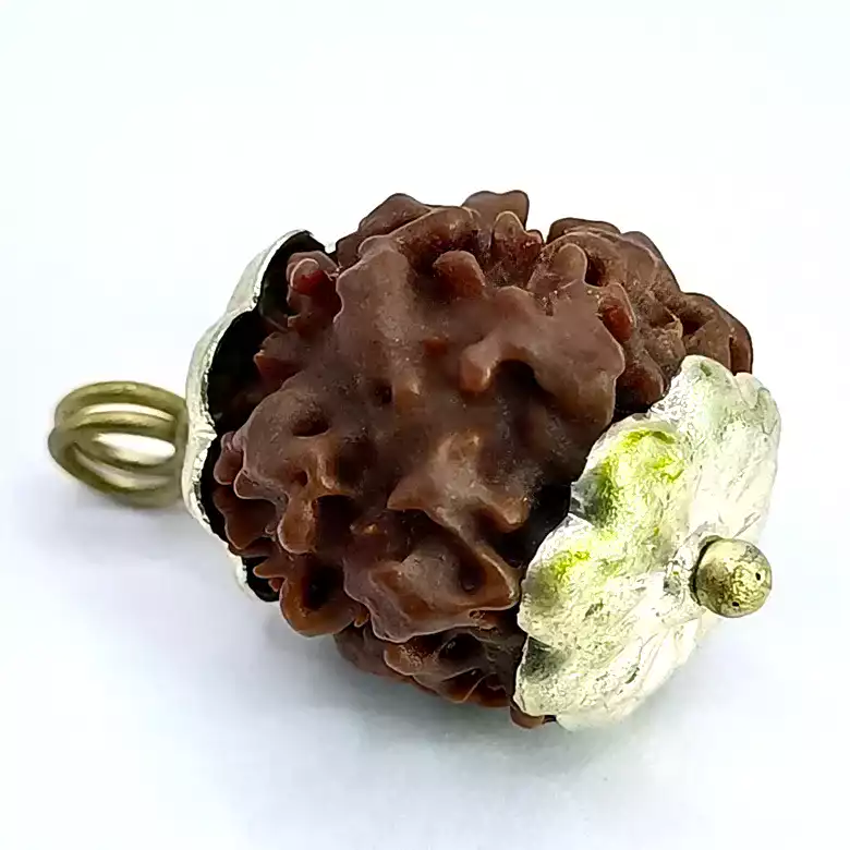 Nirakar Rudraksha – Nepal