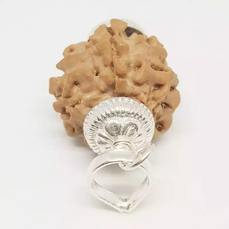 One Mukhi Premium Rare Rudraksha