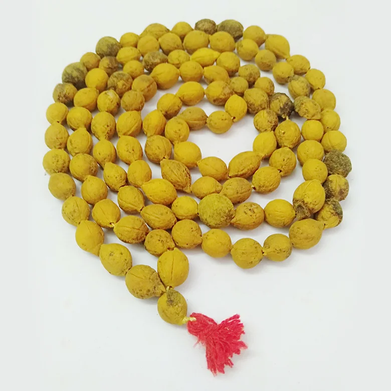 Putra Jeeva Mala