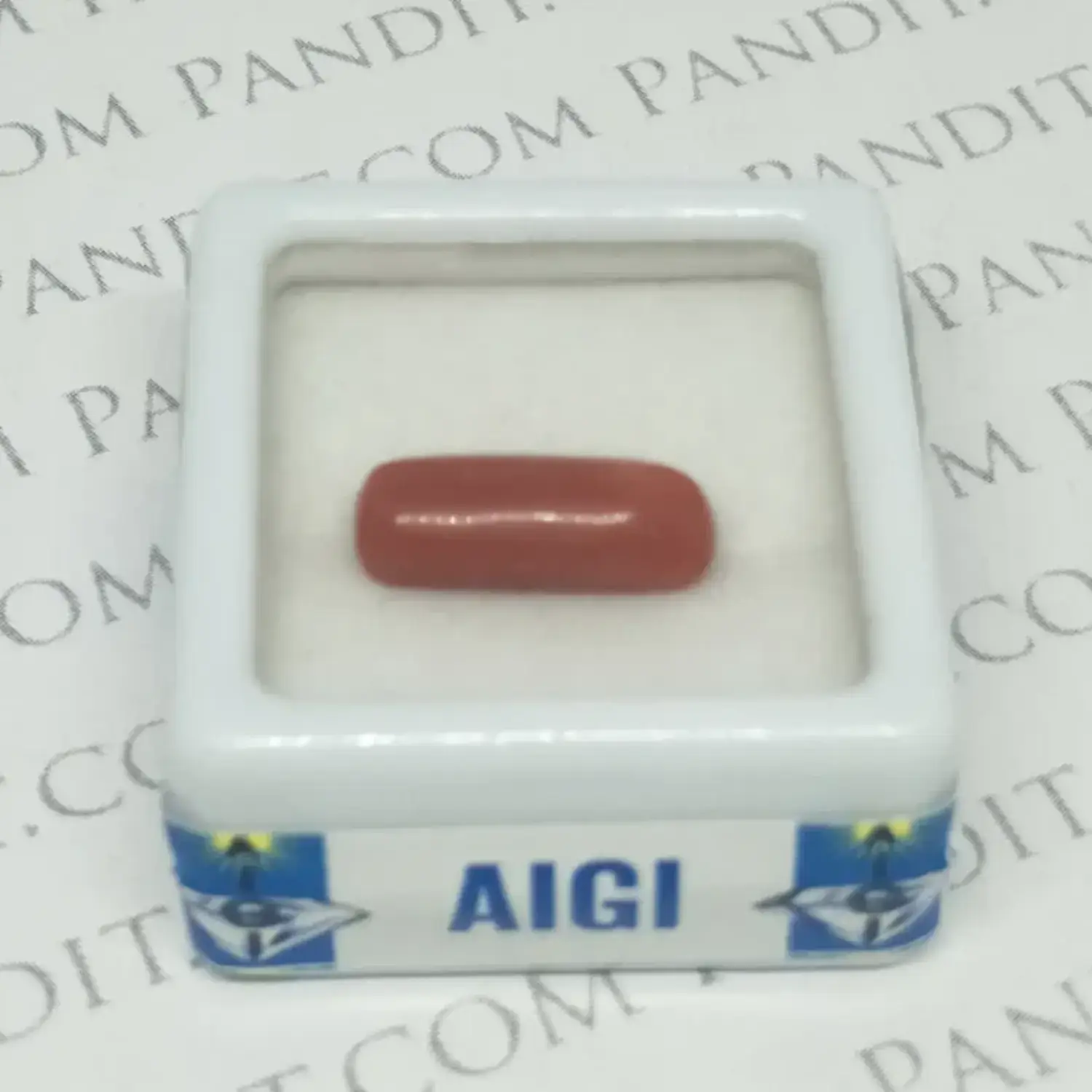 Red Coral Gemstone (Moonga Gemstone)