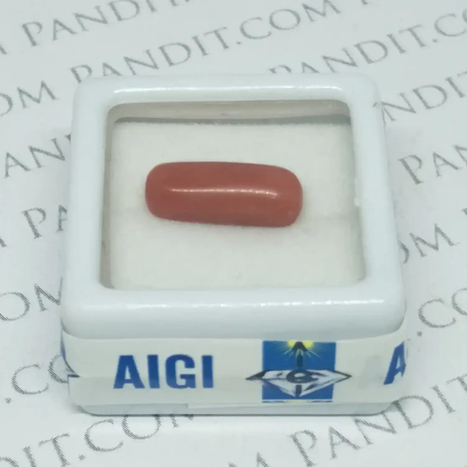 Red Coral Gemstone (Moonga Gemstone)