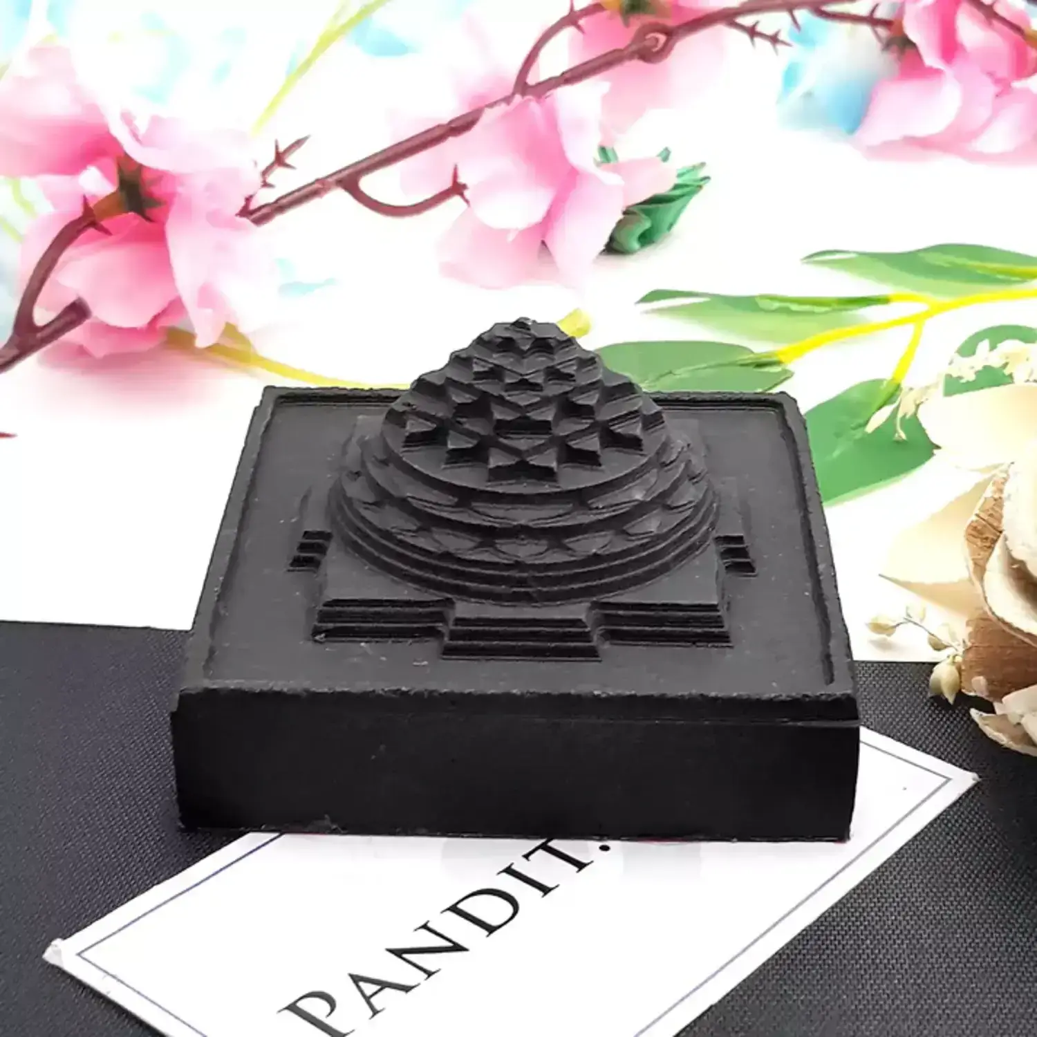 Shaligram Shri Yantra - Image 5