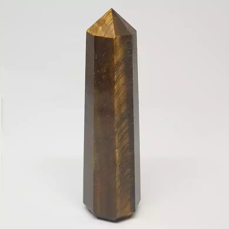 Tiger Pencil Tower Point