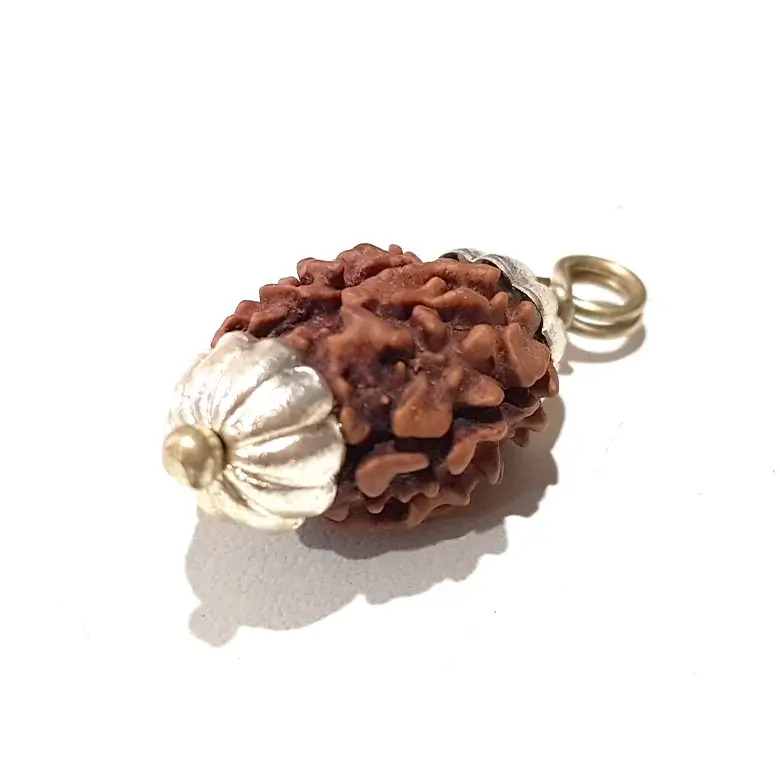 Two Mukhi Premium Rare Rudraksha