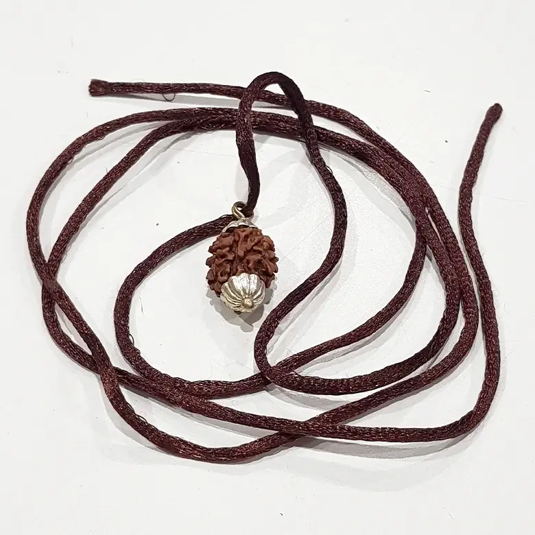 Two Mukhi Premium Rare Rudraksha
