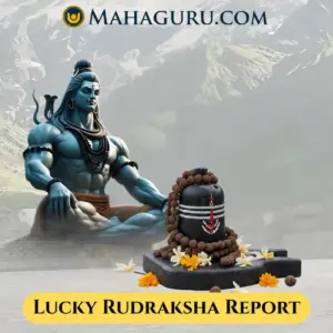 Rudraksha Report